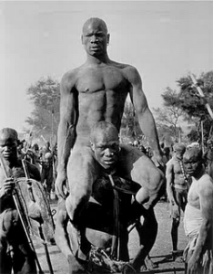 African wrestlers