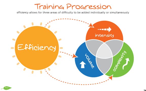 training_progression-with_efficiency.jpg