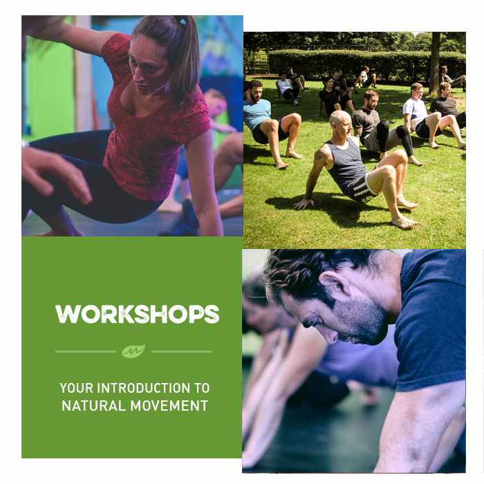 movnat workshops