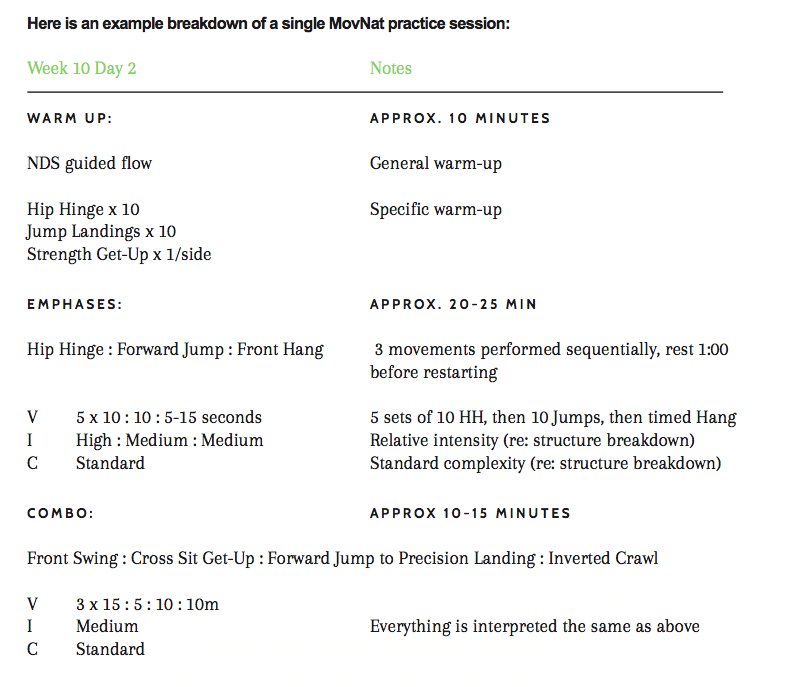 natural movement fitness workout program