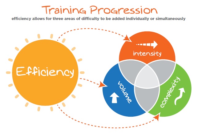 training progression - movnat progressive principle