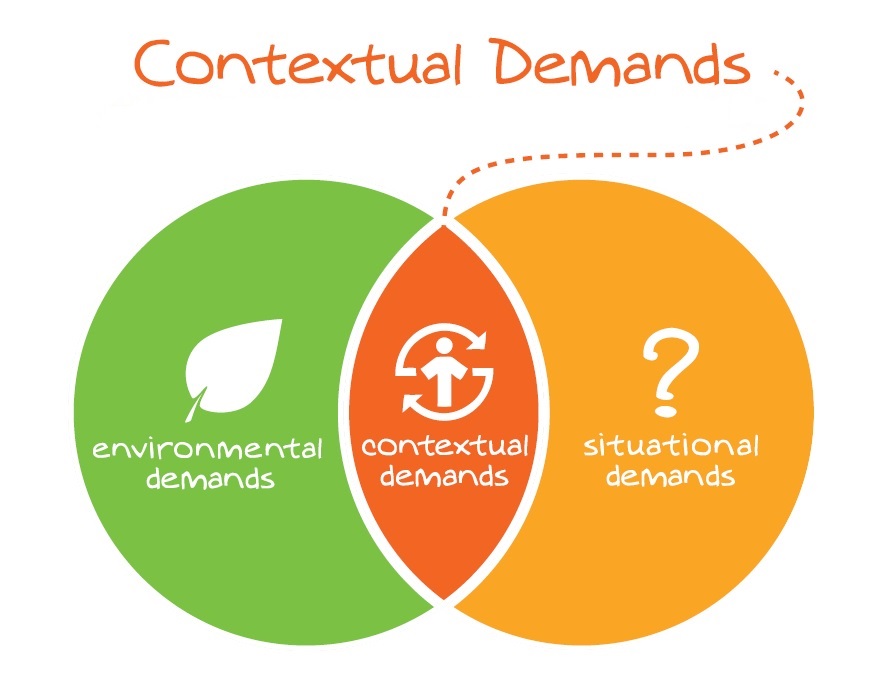 movnat contextual demands - practical principle